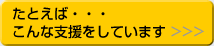 たとえば・・・こんな支援をしています